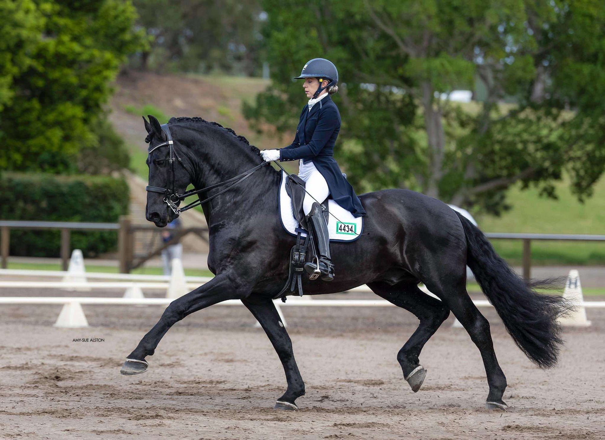 Ride in Style: Why Embroidered Bridle Numbers on Saddle Pads are a Game Changer